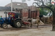 Bhilwara Uproar in Shahpura