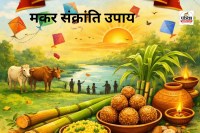 Makar Sankranti 2026 Upay