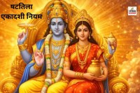 Shattila Ekadashi 2026