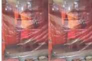 कुत्ता 35 घंटे से लगातार कर रहा परिक्रमा