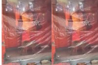 कुत्ता 35 घंटे से लगातार कर रहा परिक्रमा