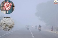 Rajasthan Cold wave and dense fog