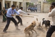 Rajasthan Education Department