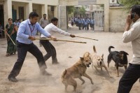 Rajasthan Education Department