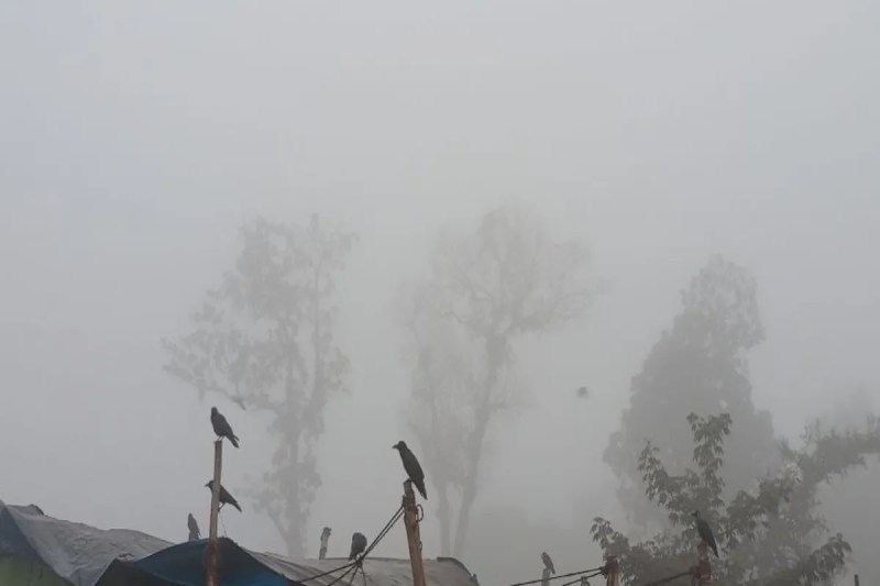 Weather Change (फोटो सोर्स : WhatsApp News Group)