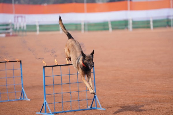 छत्तीसगढ़ में गणतंत्र दिवस का जश्न (फोटो सोर्स- पत्रिका)