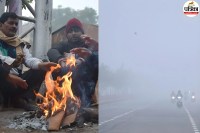 IMD Alert Cold Day and Dense Fog to Grip Rajasthan