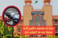 gwalior high court motor accident case fake driving licence insurance company to pay compensation mp news