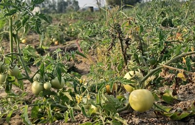 Short video poster image