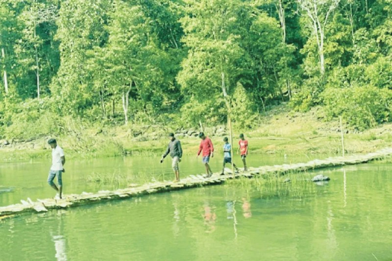 Bastar hindi news, Chhattisgarh news