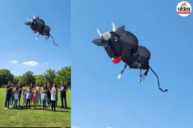 Funny buffalo shape kite, Creative Bhais wali patang for Makar Sankranti
