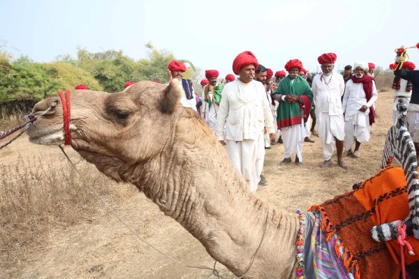 Ghumantu Charagah Pashupalak Varsh 2026