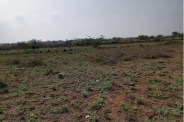 Bisalpur Dam, Bisalpur Dam News, Bisalpur Dam Latest News, Bisalpur Dam Update News, Irrigated Land, Bisalpur Dam Irrigated Land, Tonk News, Rajasthan News, बीसलपुर बांध, बीसलपुर बांध न्यूज, बीसलपुर बांध लेटेस्ट न्यूज, बीसलपुर बांध अपडेट न्यूज, सिंचित भूमि, बीसलपुर बांध सिंचित भूमि, टोंक न्यूज, राजस्थान न्यूज