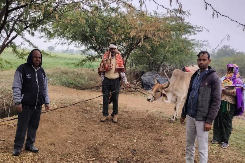 Bundi : नई पंचायत बनी रुकावट, लक्ष्य का पच्चीस फीसदी ही हासिल हो पाया