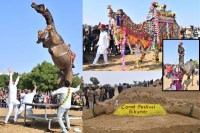 Camel-Festival-2026