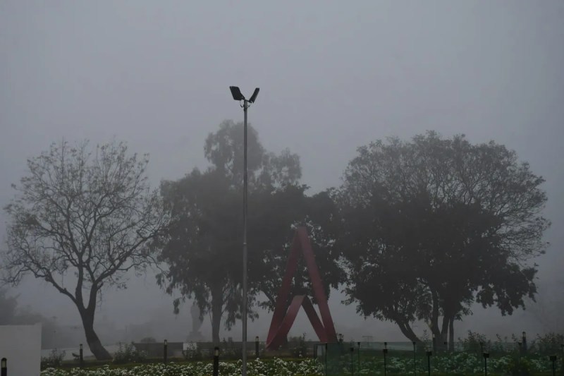 ठंड से राहत के आसार नहीं, कोहरे और गिरते तापमान से जनजीवन प्रभावित (फोटो सोर्स : WhatsApp News Group)