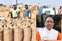 साय कैबिनेट की अहम बैठक (photo source- Patrika)