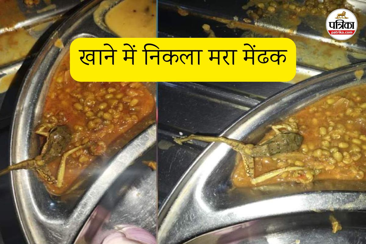 हॉस्टल मेस के खाने में मिला मेंढक (फोटो सोर्स- पत्रिका)