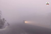 जयपुर में झालाना क्षेत्र में सुबह छाया घना कोहरा, पत्रिका फोटो