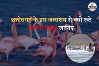 इस जलाशय से क्यों रूठे प्रवासी पक्षी (फोटो सोर्स- पत्रिका)