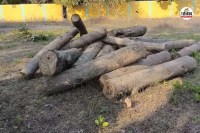 पुष्पा’ स्टाइल में किया अवैध तस्करी(photo-patrika)