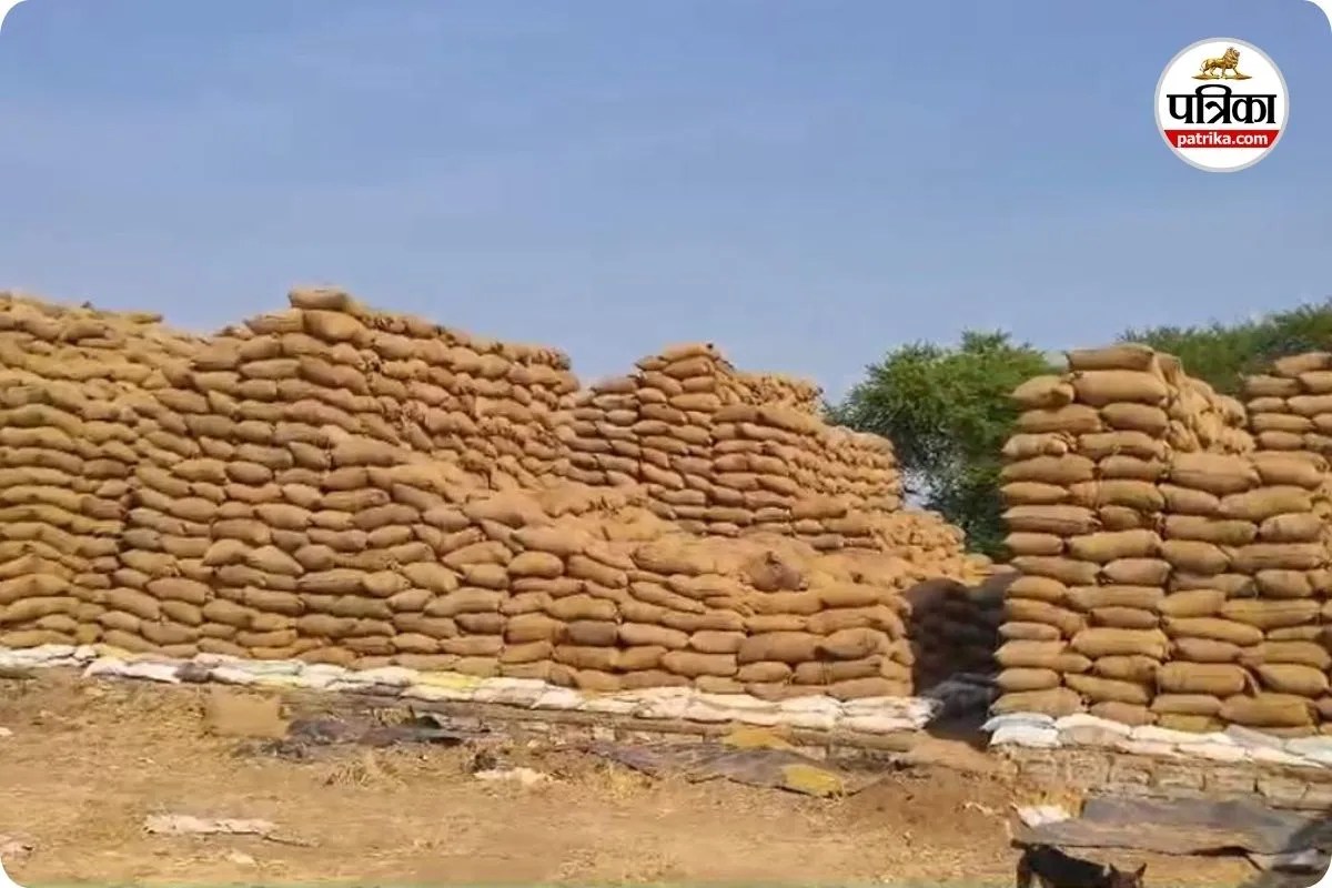 सरकारी धान की हेराफेरी (photo source- Patrika)