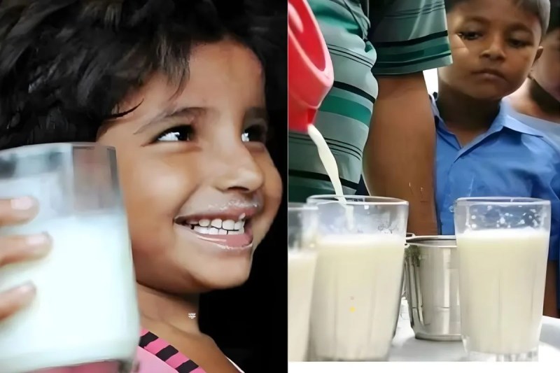 मिड डे मील स्कीम में एक्सपायरी दूध पर जीरो टॉलरेंस, पत्रिका फोटो