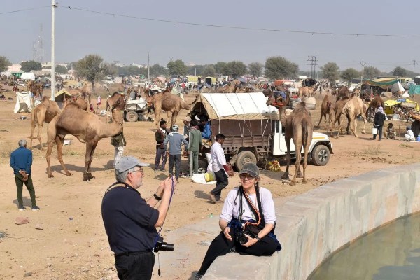 Nagaur's world famous cattle fair 2026