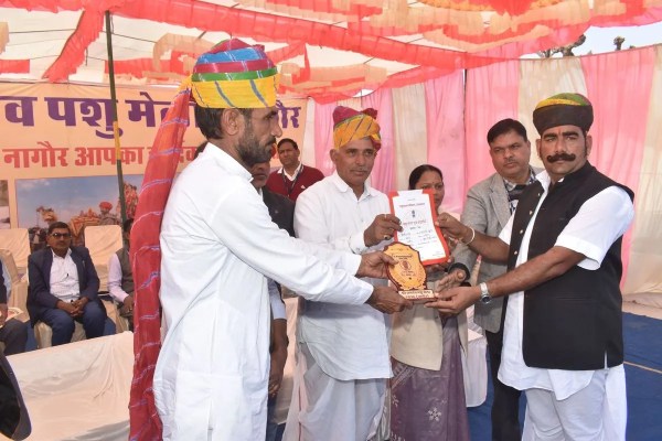 Nagaur's world famous cattle fair 2026