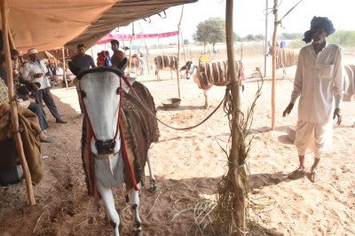 Short video poster image