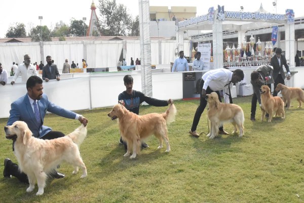 Dog Show Bhopal