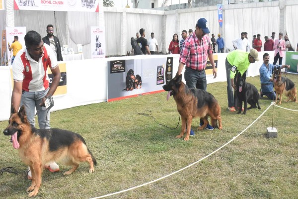 Dog Show Bhopal