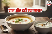DaaL And Dahi