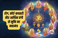 Das Mahavidya Mantras
