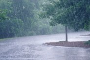 IMD issues yellow alert for rain in Delhi-NCR