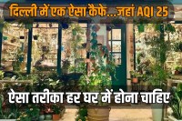 Delhi Planterie Cafe surprises everyone with AQI of 25
