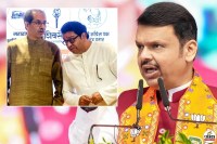 Devendra Fadnavis Uddhav and Raj Thackeray