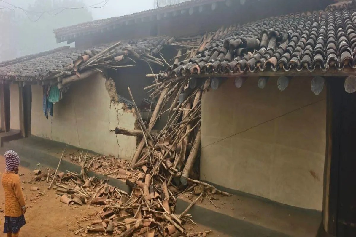 Elephant broken houses