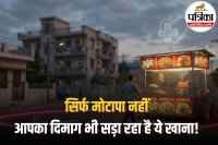 Fast food and obesity risk