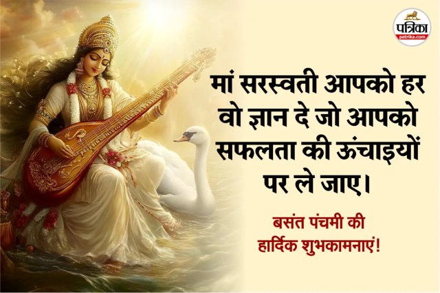 Yellow marigold flowers in sunlight