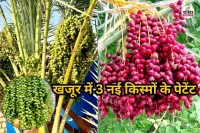 Food-Security-Scheme-1