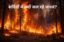 Jammu Kashmir forest fire winter