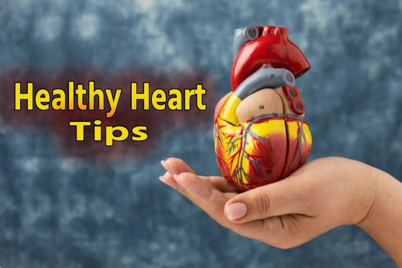 Heart Health Alert Healthy Heart Tips