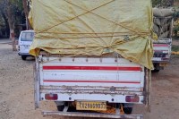 Illegal paddy seized