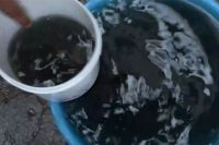 Indore Contaminated Water Case