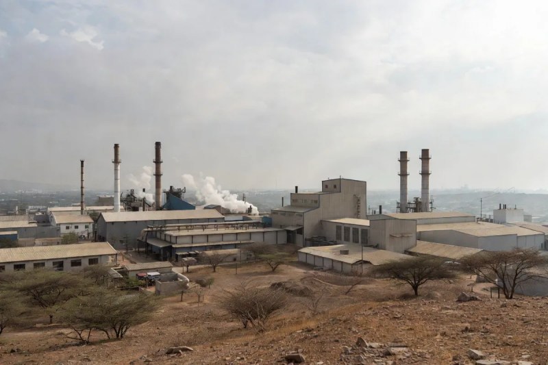 Industrial Area, Industrial Area in Sojat, Industrial Area in Pali, Industrial Area in Rajasthan, Mehndi of Sojat, Pali News, Rajasthan News, इंडस्ट्रियल एरिया, इंडस्ट्रियल एरिया इन सोजत, इंडस्ट्रियल एरिया इन पाली, इंडस्ट्रियल एरिया इन राजस्थान, सोजत की मेहंदी, पाली न्यूज, राजस्थान न्यूज