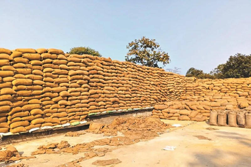 किसानों की फसल हो सकती है बर्बाद (photo source- Patrika)