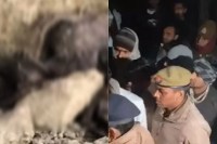 10 विशेष टीमें अवैध मांस तस्करी की जांच में जुटी