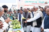 Sawai Madhopur Rs 150 crore cost set up set up guava processing plant Agriculture Minister Kirodi Lal Meena announced