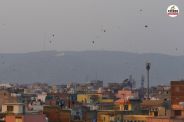 Kite-Flying